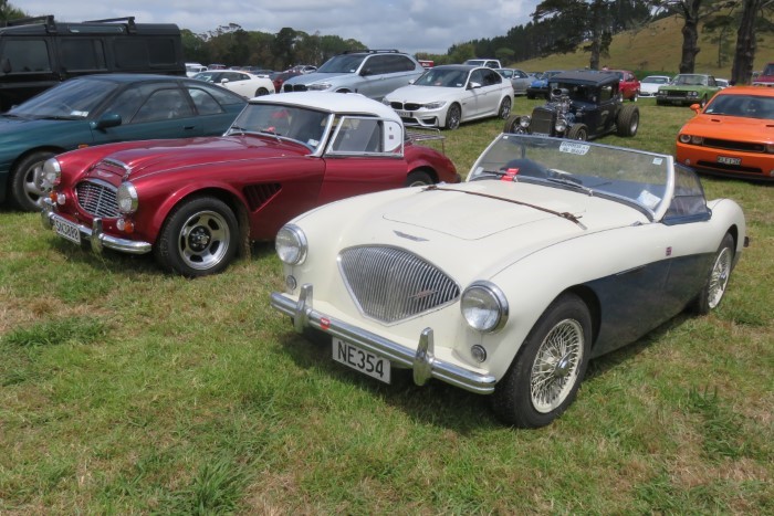 Name:  219_0203_351 Austin Healey.JPG
Views: 1184
Size:  128.1 KB
