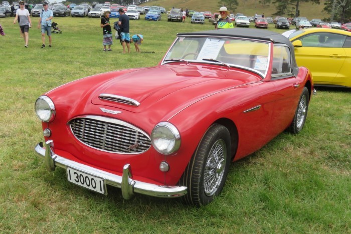 Name:  219_0203_359 Austin Healey.JPG
Views: 1252
Size:  129.8 KB