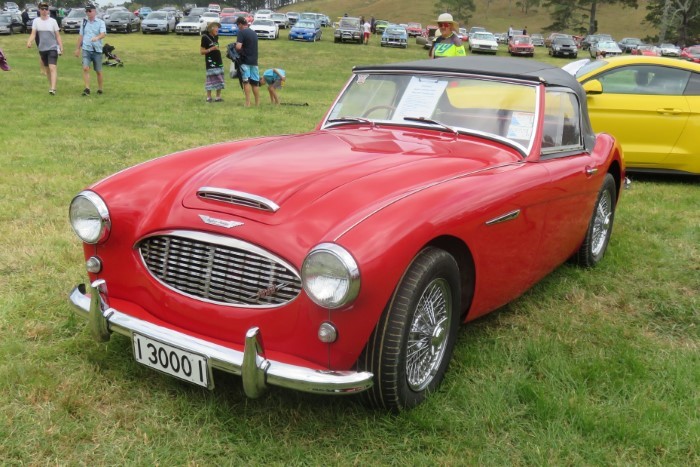 Name:  219_0203_359 Austin Healey.JPG
Views: 1012
Size:  129.8 KB