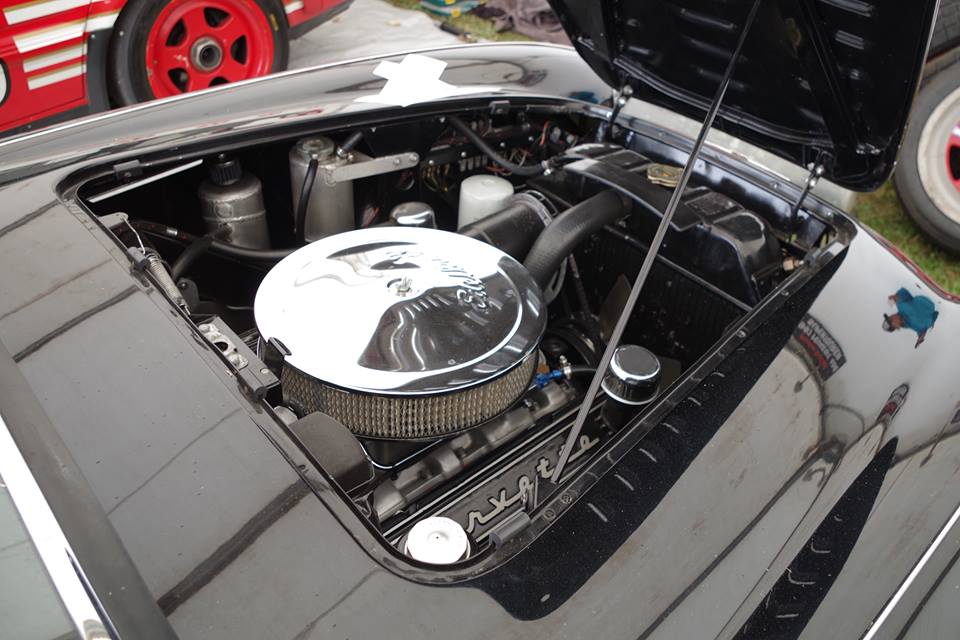 Name:  AH 100 - Healey - Corvette #16 Engine Skope 2019 Merv Hanna  photo .jpg
Views: 936
Size:  84.9 KB