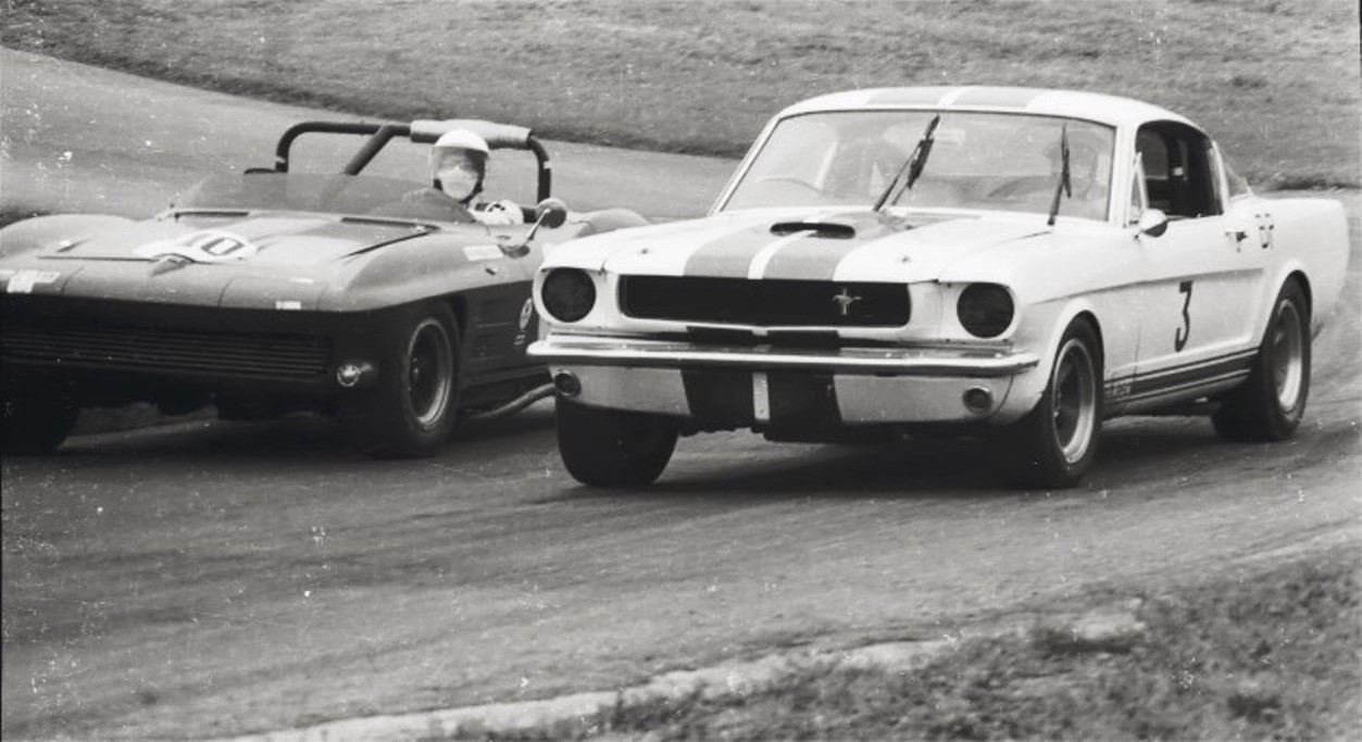 Name:  SHELBY GT 350 and STINGRAY 9 (1).jpg
Views: 2623
Size:  153.8 KB