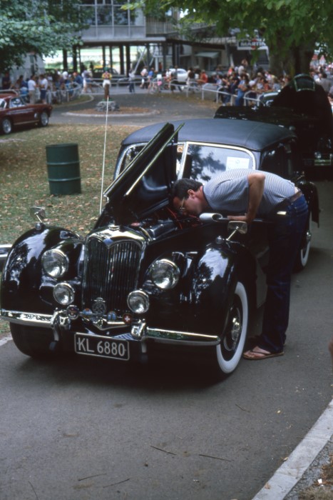 Name:  194_0213_710 Riley.jpg
Views: 967
Size:  100.0 KB