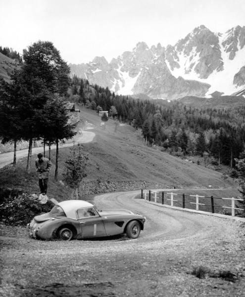 Name:  AH 3000 #75 Works 67ARX 1962 Coupe des Alpes .jpg
Views: 3062
Size:  48.6 KB