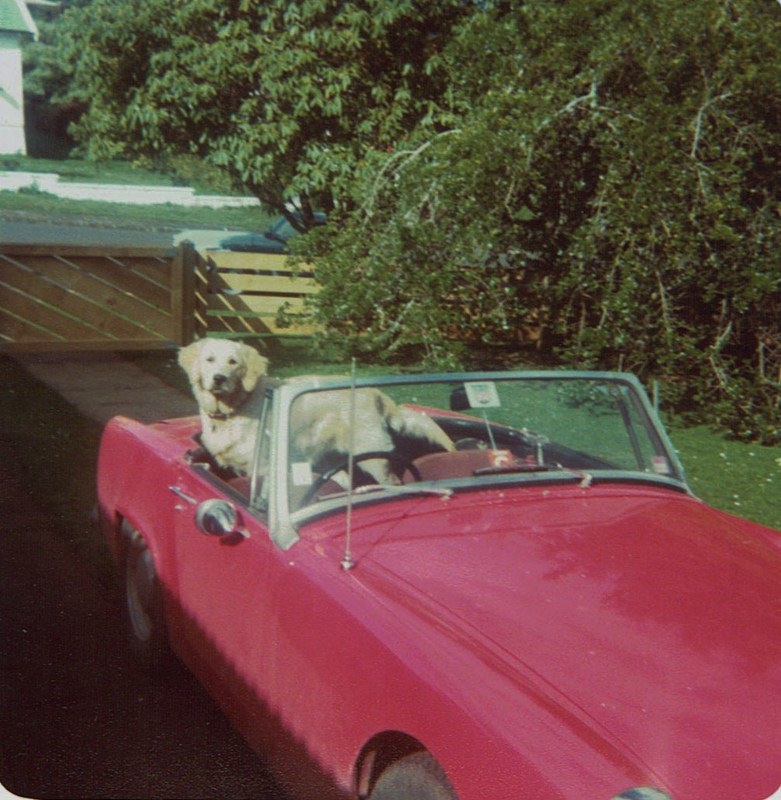 Name:  Cars by Roger Dowding #41 1965 A-H Sprite & Sam late 1980 CCI09022016_0006 (781x800).jpg
Views: 2561
Size:  167.6 KB