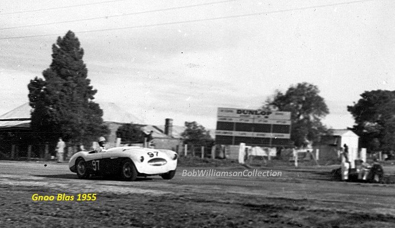 Name:  AH 100S #16 AHS3701 David Smith Gnoo Blass 1955 Bob Williamson.jpg
Views: 1927
Size:  65.2 KB