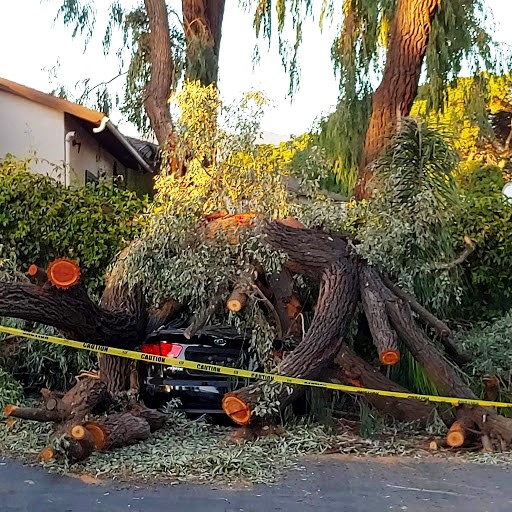 Name:  Parking lot damage. Goleta. California..jpg
Views: 856
Size:  134.1 KB