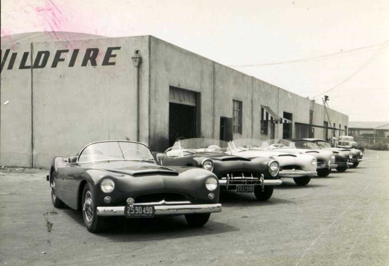 Name:  Wildfires lined up at factory..jpg
Views: 1671
Size:  74.0 KB