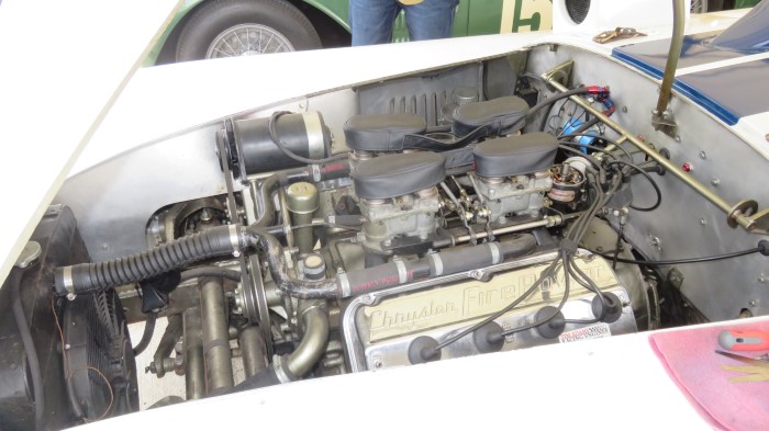 Name:  218_0908_0082 Cunningham.JPG
Views: 696
Size:  90.0 KB