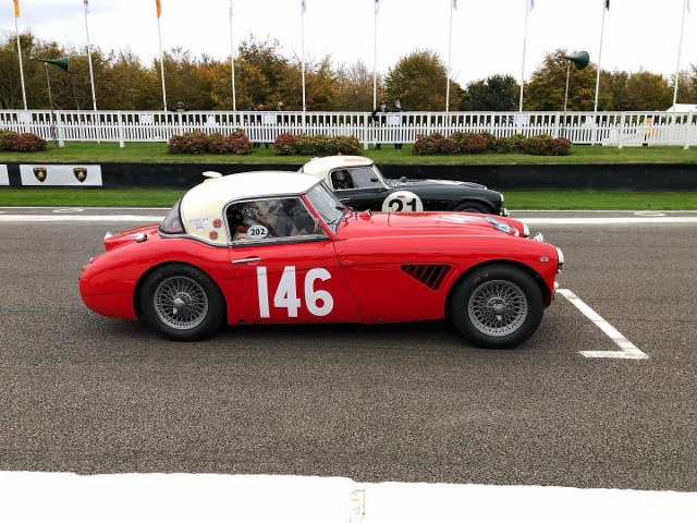 Name:  AH 3000 #366 XJB 876 2020 Goodwood  Rich  Jon. 12th overall first Healey home start Paul Woolmer.jpg
Views: 4343
Size:  123.4 KB