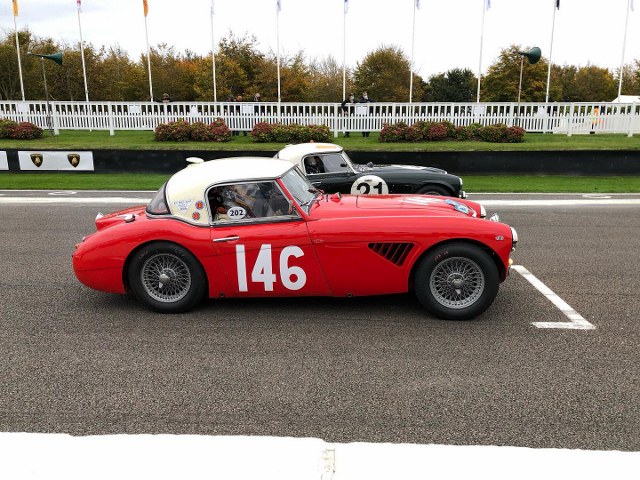 Name:  AH 3000 #366 XJB 876 2020 Goodwood  Rich  Jon. 12th overall first Healey home start Paul Woolmer.jpg
Views: 2729
Size:  123.4 KB