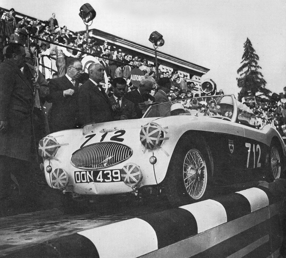 Name:  AH 100S #149 OON439 Donald Healey 1955 Miglia Miglia.jpg
Views: 1712
Size:  160.3 KB