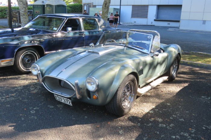 Name:  221_0131_63 Cobra r.JPG
Views: 1592
Size:  128.3 KB