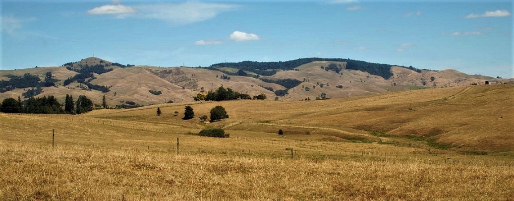 Name:  Te Miro hills Scotsman's valley.jpg
Views: 720
Size:  195.1 KB