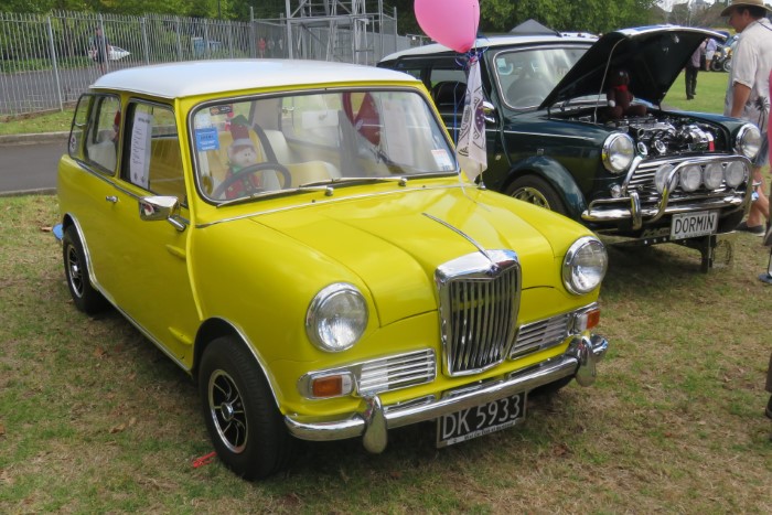 Name:  221_0214_042 Riley.JPG
Views: 1590
Size:  126.1 KB