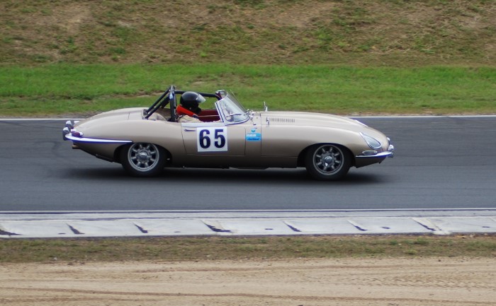 Name:  210_0124_281 Jaguar.JPG
Views: 680
Size:  89.1 KB