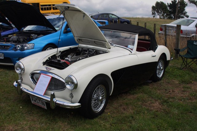 Name:  AH 3000 #589 BT7 AWSTIN fr 3-4 Pahoia Show 2021_02_13_2179 (640x427).jpg
Views: 946
Size:  110.1 KB