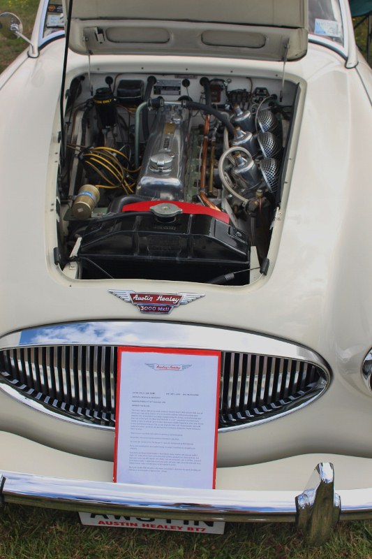 Name:  C and C 2021 #248 Pahoia AWSTIN AH 3000 engine 2021_02_13_2148 (533x800).jpg
Views: 852
Size:  129.4 KB