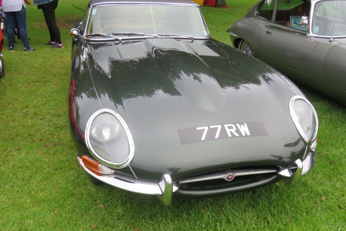 Name:  221_0411_040 Jaguar.JPG
Views: 710
Size:  108.6 KB