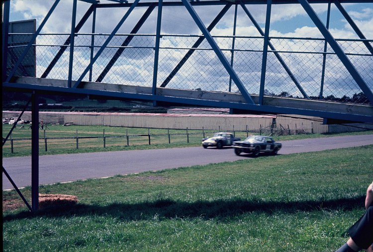 Name:  Pukekohe 1965 #0070 FLeetwood Mustang and Daimler SP 250 under Dunlop Gold Leaf 3 hr Q Ian Tille.jpg
Views: 706
Size:  174.8 KB