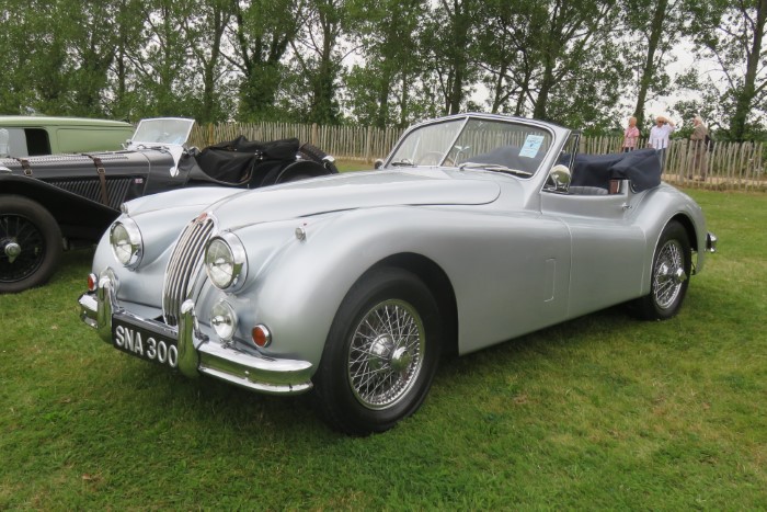 Name:  221_0917_0690 Jaguar.JPG
Views: 684
Size:  134.0 KB