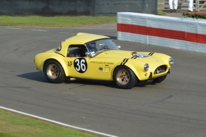 Name:  221_0917_1450 AC Cobra.JPG
Views: 783
Size:  108.4 KB
