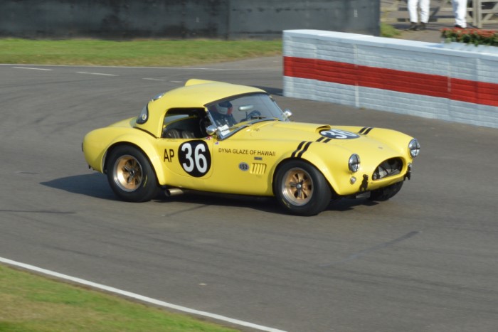 Name:  221_0917_1450 AC Cobra.JPG
Views: 444
Size:  108.4 KB