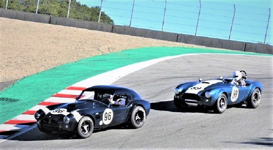 Name:  2 COBRAS - Copy.jpg
Views: 641
Size:  160.2 KB