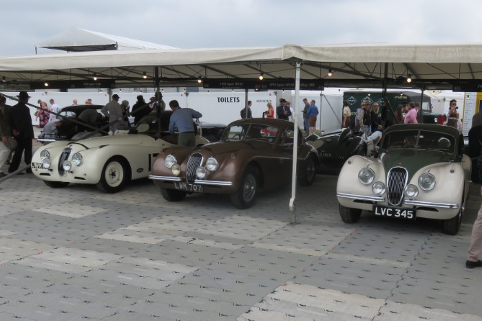 Name:  221_0917_0846 Jaguar.JPG
Views: 704
Size:  93.4 KB