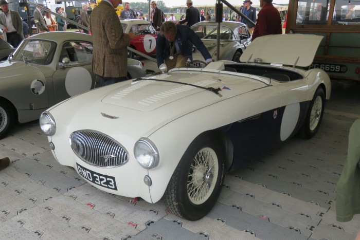 Name:  221_0917_0835 Austin Healey.JPG
Views: 624
Size:  100.0 KB