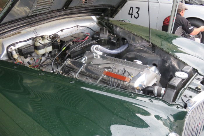 Name:  221_0919_0067 Jaguar.JPG
Views: 2213
Size:  111.0 KB