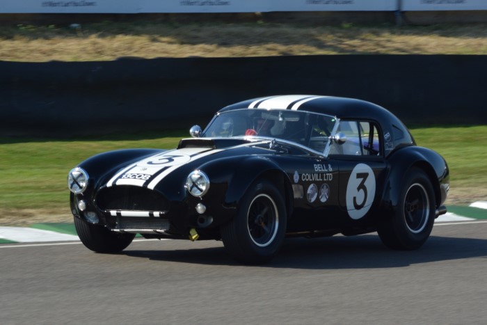 Name:  221_0918_0716 AC Cobra.JPG
Views: 697
Size:  106.5 KB