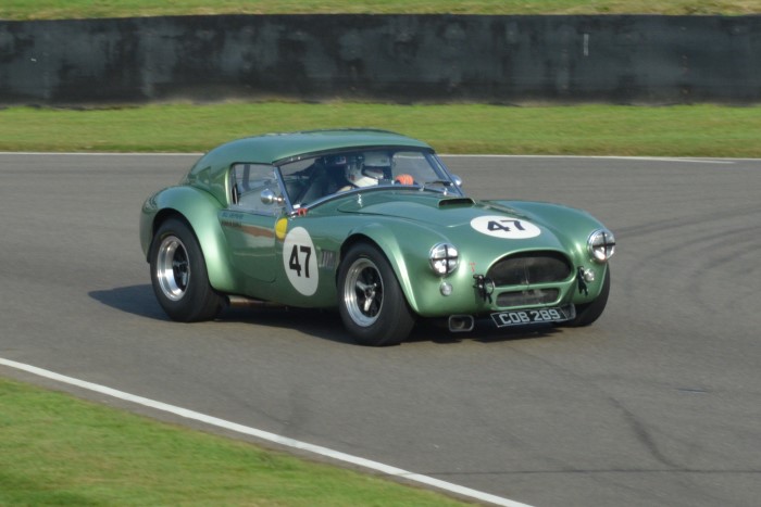 Name:  221_0917_1453 AC Cobra.JPG
Views: 714
Size:  105.5 KB