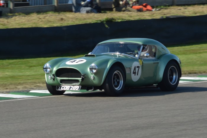 Name:  221_0918_0708 AC  Cobra.JPG
Views: 2091
Size:  108.2 KB