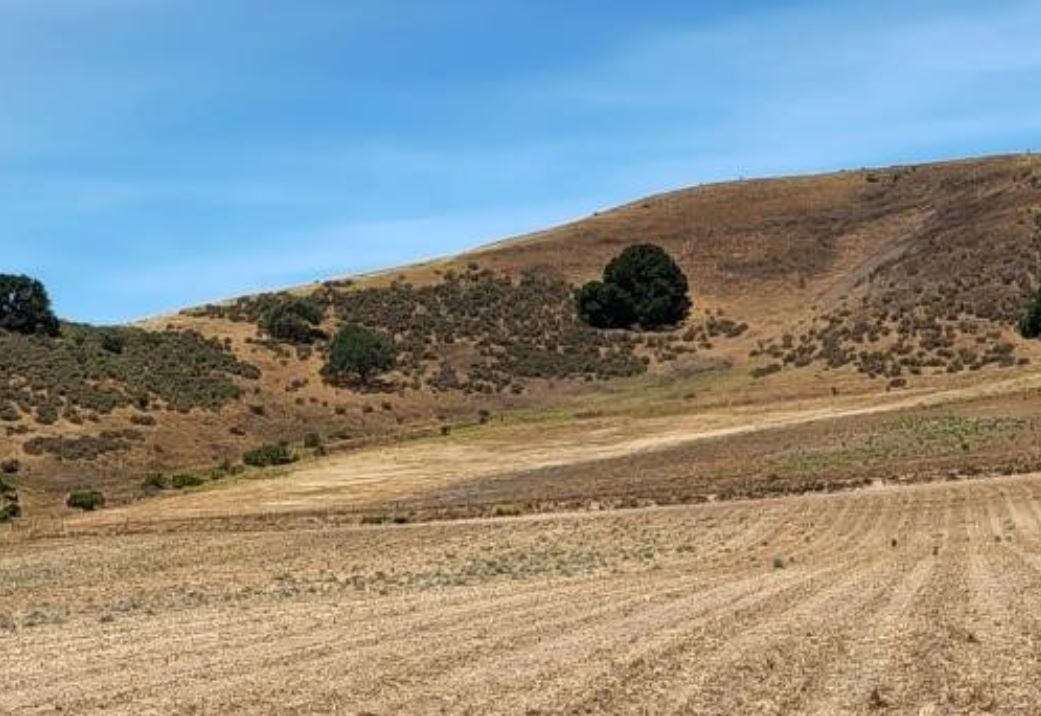 Name:  Buellton hills.JPG
Views: 857
Size:  111.1 KB