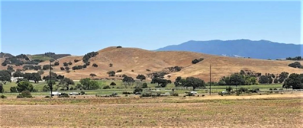 Name:  Buellton paddock.JPG
Views: 740
Size:  170.7 KB