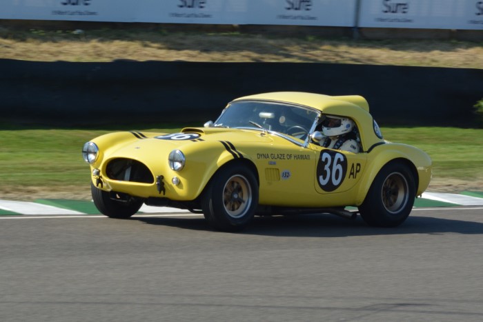 Name:  221_0918_0706 AC Cobra.JPG
Views: 718
Size:  107.5 KB