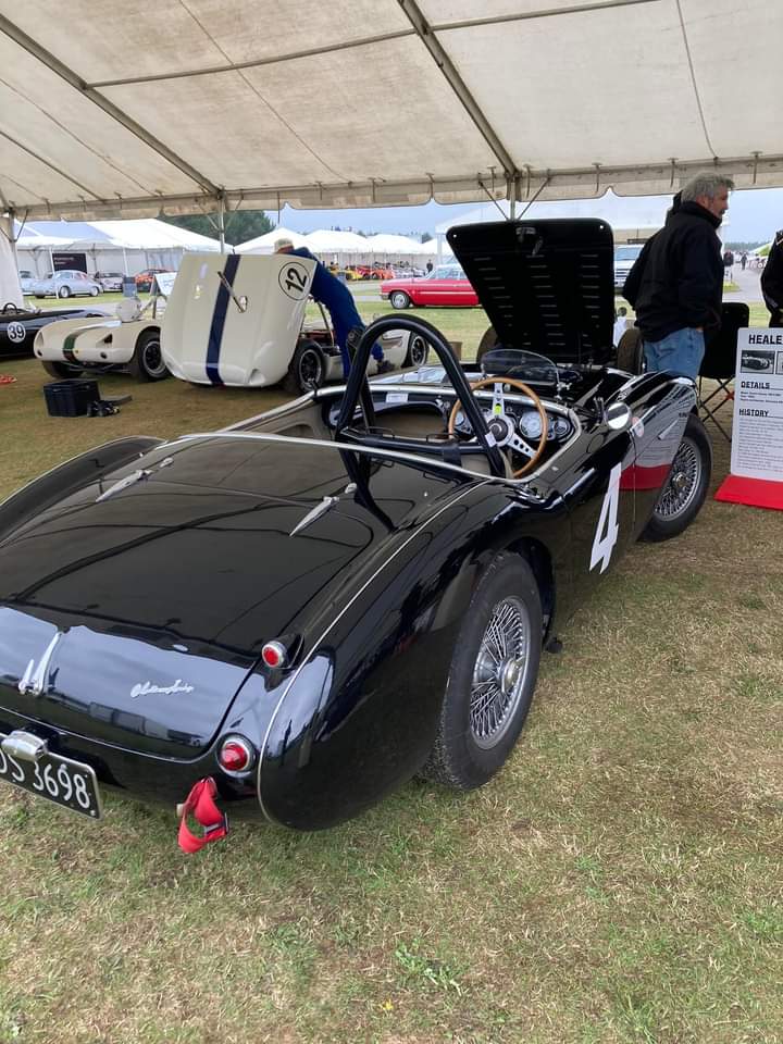 Name:  AH 100 #163 AH 100 Healey Corvette rear 3-4 Begg Festival Mar Apr 2023 Allan Horner.jpg
Views: 259
Size:  116.8 KB