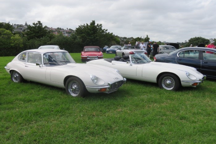 Name:  223_0305_048 Jaguar.JPG
Views: 646
Size:  104.5 KB