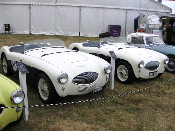 Name:  209_0918_342 Austin Healey.JPG
Views: 259
Size:  116.7 KB