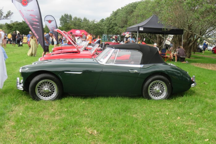 Name:  223_0305_112 Austin Healey.JPG
Views: 506
Size:  133.2 KB