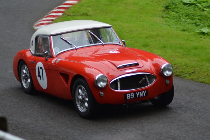 Name:  223_0722_158 Austin healey.JPG
Views: 525
Size:  117.5 KB