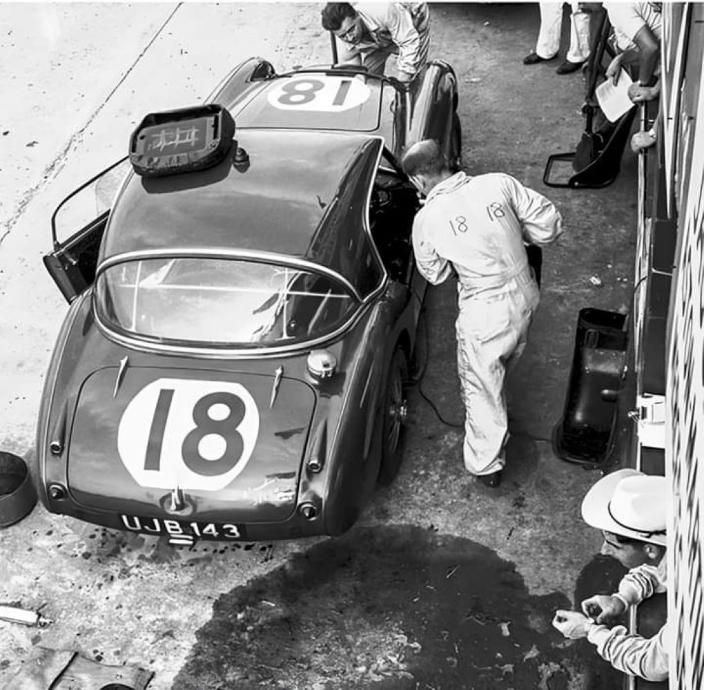 Name:  AH 3000 #0300 UJB143 Le Mans and Sebring 1960 Race #18  later DD300 arch R Jordan.jpg
Views: 153
Size:  172.8 KB
