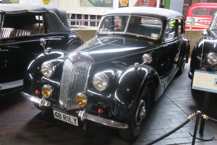Name:  223_0729_058 Riley.JPG
Views: 411
Size:  110.0 KB