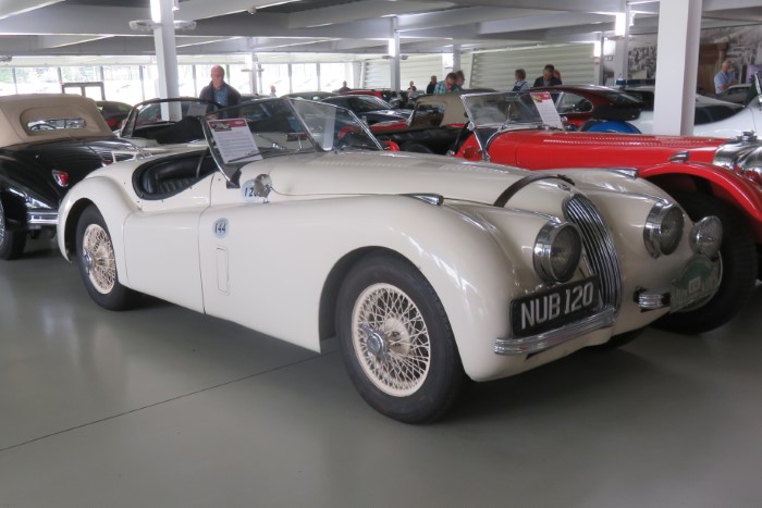 Name:  223_0712_130 Jaguar.JPG
Views: 508
Size:  83.4 KB