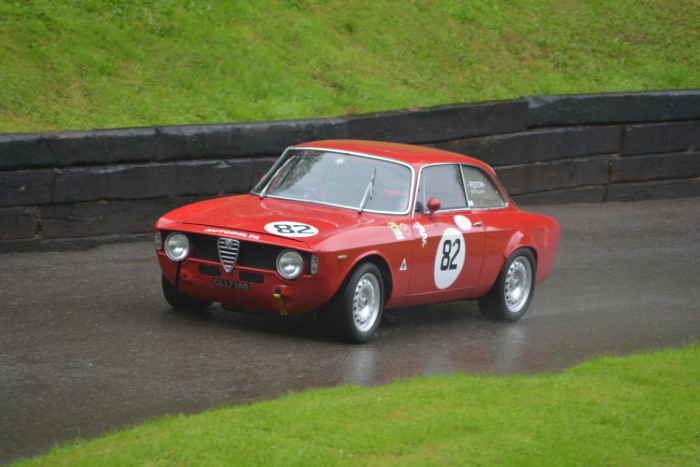 Name:  223_0722_241 Alfa.JPG
Views: 474
Size:  121.6 KB