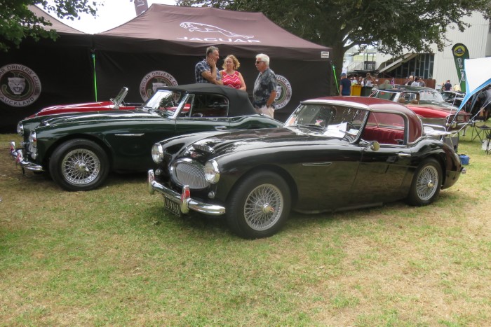 Name:  224_0211_072 Austin Healey.JPG
Views: 183
Size:  127.8 KB