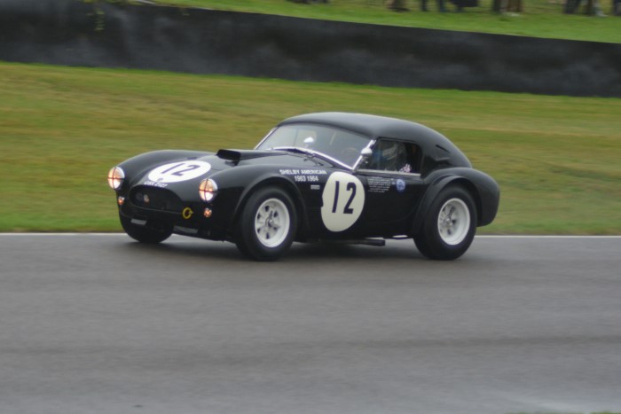 Name:  224_0906_1037 AC Cobra.JPG
Views: 1110
Size:  88.8 KB