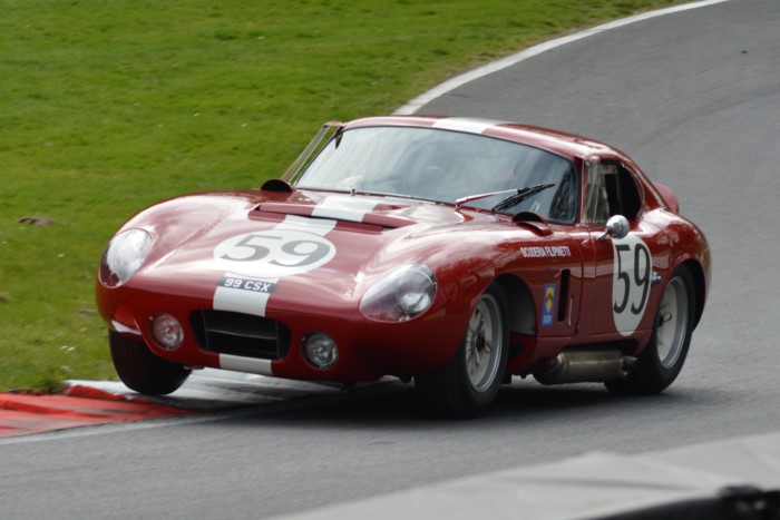 Name:  225_0419_392 Cobra r.JPG
Views: 143
Size:  106.3 KB