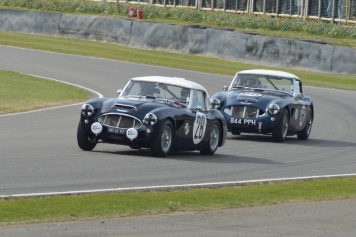 Name:  225_0412_875 Austin Healey.JPG
Views: 87
Size:  114.2 KB