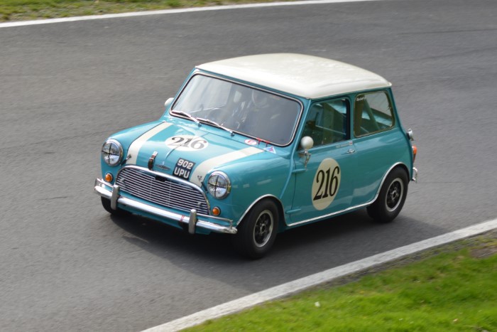 Name:  225_0419_087 Mini.JPG
Views: 29
Size:  111.0 KB